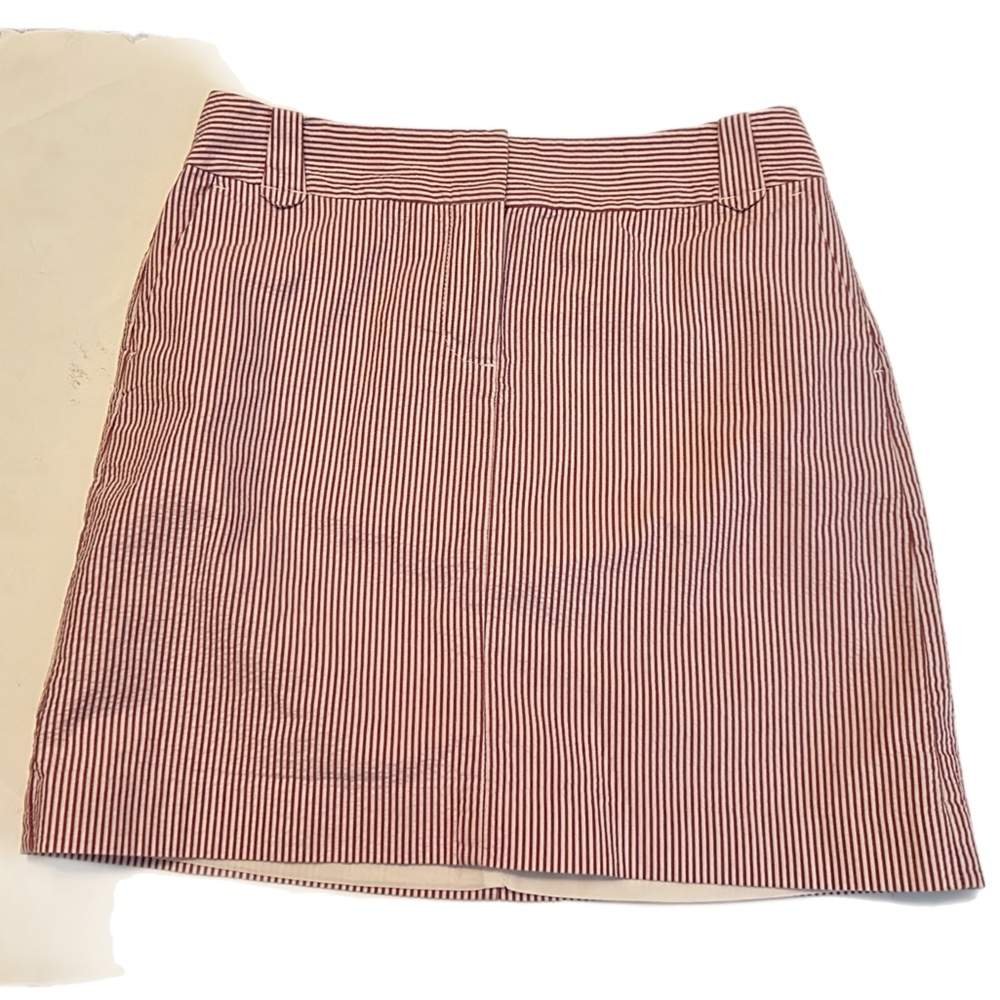 Ann Taylor Loft‎ Petites Skirt